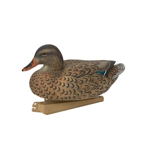 Avery GHG Essential Mallard Duck Decpus - 12 Pack