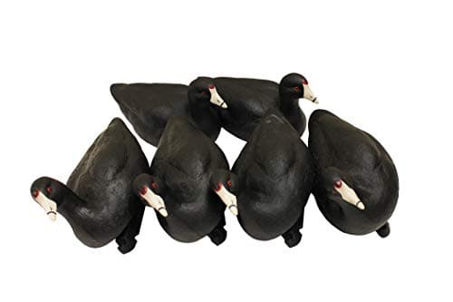 MOJO Outdoors Coot Confidence Decoys for Duck Hunting, Increases Realism and Entices Ducks to Land, Pack of 6