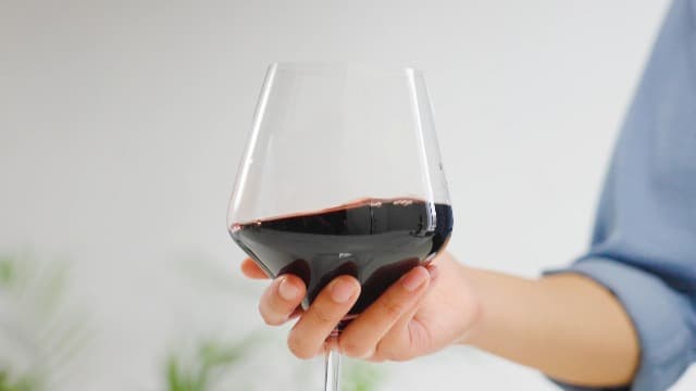 Spiegelau Style Crystal White Wine Glasses Gift Set, Elegant Stemmed Wine Glasses, Stylish Glassware for Dinner Party, Home Bar, Wedding Gifts, Birthday Gifts, Hosting Essentials, 15.5 oz, Set of 4