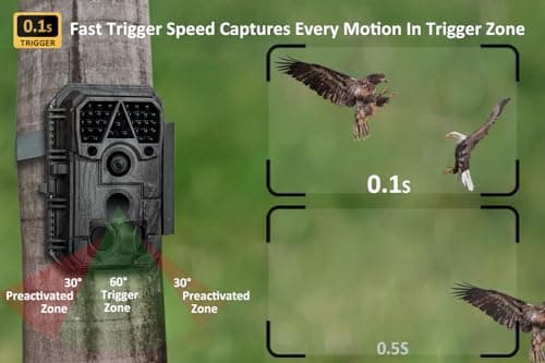 P70 (Non-Cellular,Non-WiFi) Trail Camera, 64MP 1296p, Game Cameras with No-Glow IR Night Vision, Motion Activated, Waterproof for Wildlife Deer Cams, Hunting