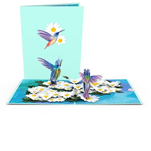 Lovepop Daisy Patch Hummingbirds Pop-Up Card, 5 X 7 Inch, Valentine's Day Gift, Cards for Mom, Thinking of You, Love Card
