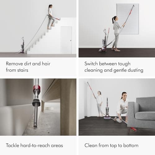 Dyson Ball Animal 3+ (Renewed Premium)