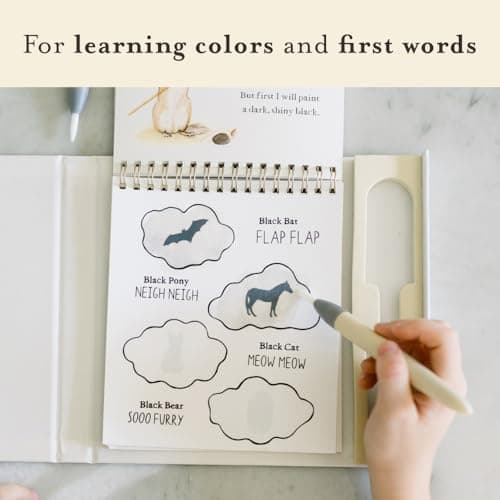 Wishy Washy (Water Reveal Edition): A Reusable Water Reveal Activity Book Teaching First Words and Colors (Tabitha Paige Children's Book Series) 196318355X