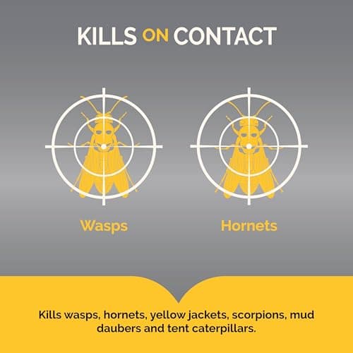 Hot Shot Wasp and Hornet Killer Aerosol, Up to 27-Foot Jet Spray, 14 Ounces, 2 Pack