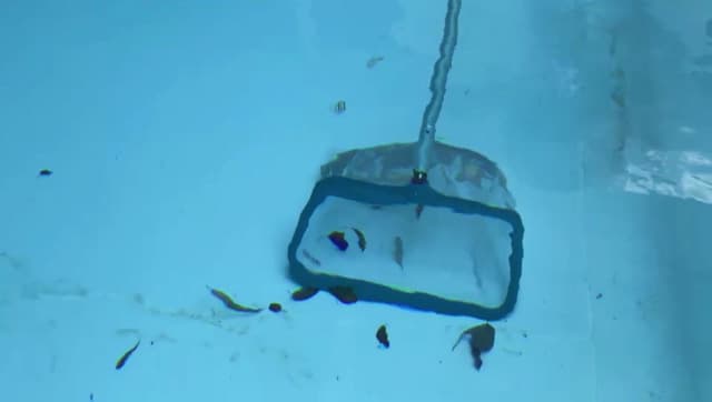 POOLWHALE Professional Pool Skimmer Net, Heavy Duty Swimming Leaf Rake Cleaning Tool with Deep Fine Nylon Mesh Net Bag - Fast Cleaning,Easy Scoop Edge,Debris Pickup Removal (No Pole)