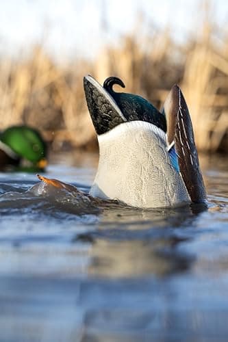 Avian-X Power Butt Kicker Motion Decoy