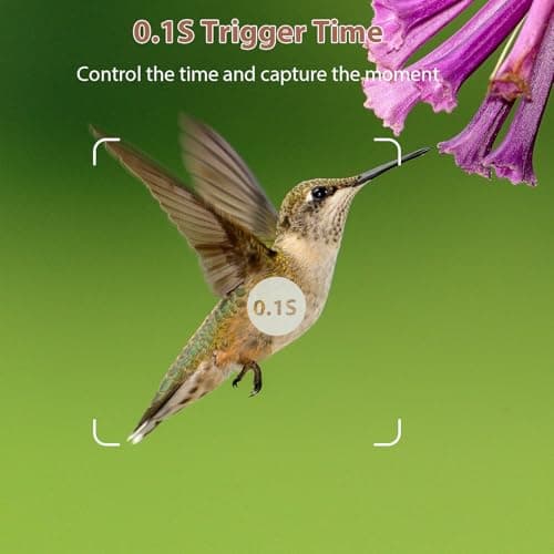 BLAZEVIDEO Game & Trail Camera 32MP Photo & 1296P Video with 100ft Night Vision Motion Activated 0.1s Trigger Speed Waterproof for Home Security, Outdoor Wildlife Scouting