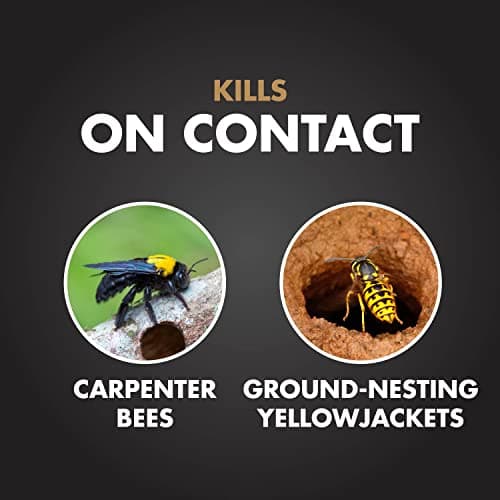Spectracide Carpenter Bee And Ground-Nesting Yellowjacket Killer Foaming Aerosol 16 Ounces, Expands To Where Insects Live, Yellow