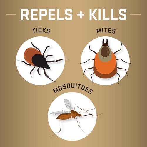 Repel Permethrin Clothing & Gear Insect Repellent, Use on Outdoor Gear, Tents and Sleeping Bags, Repels Mosquitoes, Ticks, Mites, (Aerosol Spray) 6.5 fl Ounce