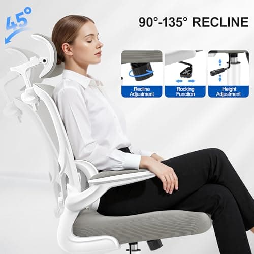 ALLGOD Ergonomic Office Chair, Mesh Desk Chair with Lumbar Support, High Back Home Office Chair with Adjustable Headrest and Flip-Up Arms, Comfortable Computer Chair, Thick Cushion, 300 LBS, LightGray