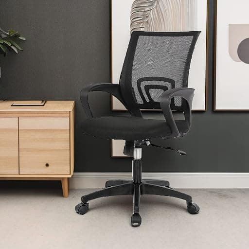 PayLessHere Home Office Chair Desk Computer Chair Adjustable Ergonomic Lumbar Support Armrest Executive with High Density Mesh 360 Degree Swivel Chair for Men Women Adults, Black