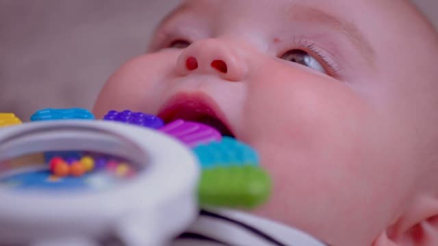 Baby Einstein Outstanding Opus The Octopus Sensory Rattle & Teether Multi-Use Toy, BPA Free & Chillable, 3 Months & up, Multicolored