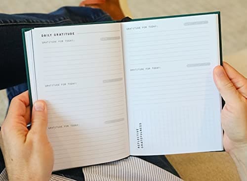 How to Talk to Your Cat About Gun Safety: And Abstinence, Drugs, Satanism, and Other Dangers That Threaten Their Nine Lives