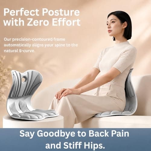 Ergonomic Lumbar Support Cushion for Back Support & Pain Relief | 6-Zone Pressure Distribution Posture Corrector for Office Chair, Car Seat, Desk, etc. | Great as a Gift (Gray)