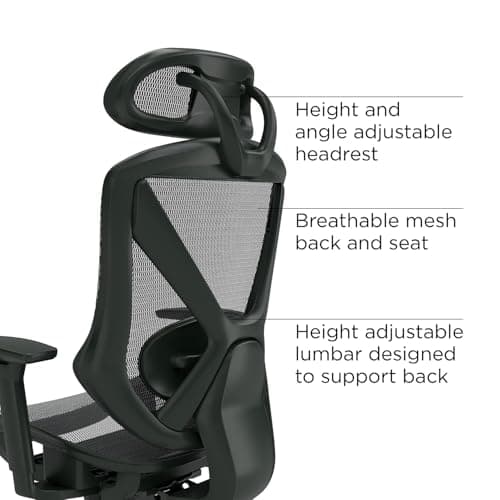Staples Dexley Ergonomic Task Chair, Mesh, Ergonomic, Lumbar Support, Adjustable Height, Black