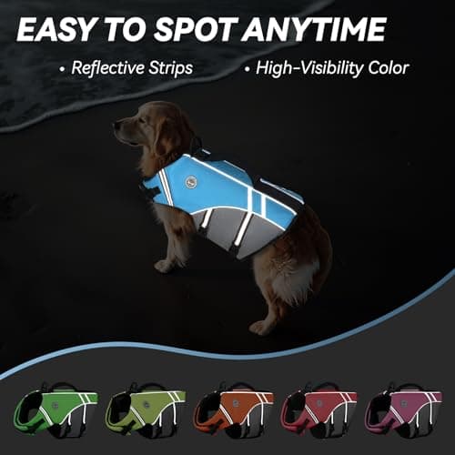 VIVAGLORY Sports Style Dog Life Vest, Dog Life Jacket for Swimming & Boating, Ripstop & Buoyancy for Puppy Doggy, Lifejacket with Handle, M, Blue