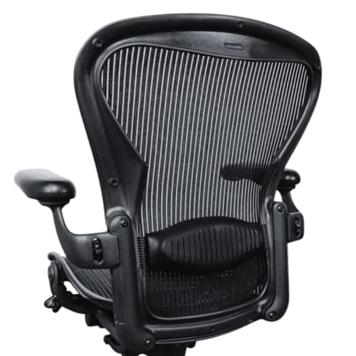 Herman Miller Office Chair Size B | Fully Adjustable with All Features Included| Quick and Easy Assembly| Renewed| 10 Year Warranty| Hardwood Floor Roller Blade Style Wheels Included
