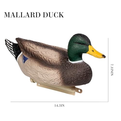 Heerweiyi Mallard Duck Decoys Popular New Material EVA Collapsible Plastic Duck Decoy Mallard Duck Decoys,Easy to Carry and use, More Cost-Effective.