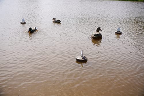 MOJO Outdoors - Premium Waterfowl and Duck Hunting Decoys