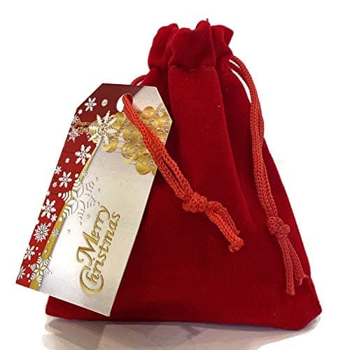 None Ultimate Naughty List Lump of Coal Christmas Surprise! Beautiful Plush Red Velvet Jewelry Bag Filled with Real Authentic Coal and Designer Gift Tag!