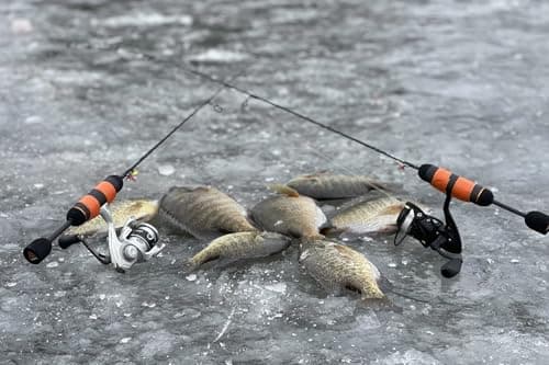 TRIKA Ultralight Ice Fishing Rod, Sensitive Carbon Ice Fishing Pole for Trout, Walleye, Perch, Panfish Bluegill, Crappie, Bass - 28”/32”/36”/40”