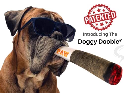 Doggy Doobie - Funny Dog Toys - Plush Squeaky Toys for Medium, Small and Large - Cool Stuffed Cute Gifts for Dog Birthday
