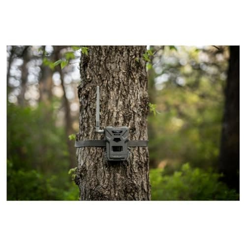 SPYPOINT Flex-M Twin Pack Cellular Trail Cameras - Best Hunting Accessories, No WiFi Needed, GPS, Night Vision, Dual-Sim LTE, IP65 Water-Resistant Game Camera, 28MP Photos, 720p Videos + Sound (2)