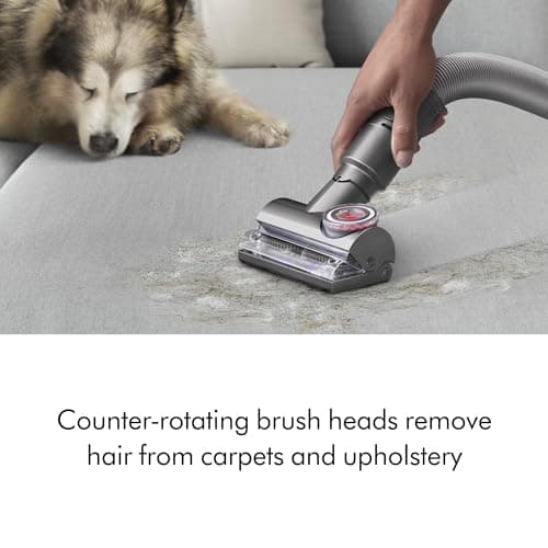 Dyson Ball Animal 3+ (Renewed Premium)