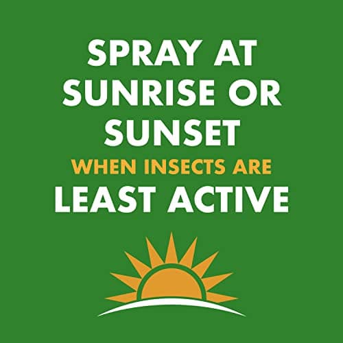 Spectracide Wasp & Hornet Killer Aerosol Kills Wasps, Hornets And Yellow Jackets On Contact & Eliminates The Nest, 12 Pack