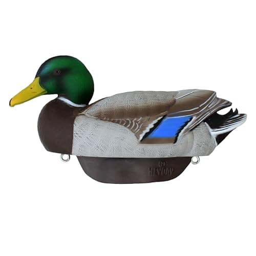 Mallard Duck Decoys by Heyday – Ultra-Light 100% HydroFoam | Durable, Realistic Design | 6 Pack of Duck Hunting Decoys