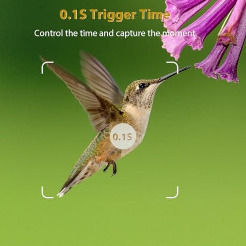 BLAZEVIDEO Game & Trail Camera 32MP Photo & 1296P Video with 100ft Night Vision Motion Activated 0.1s Trigger Speed Waterproof for Home Security, Outdoor Wildlife Scouting