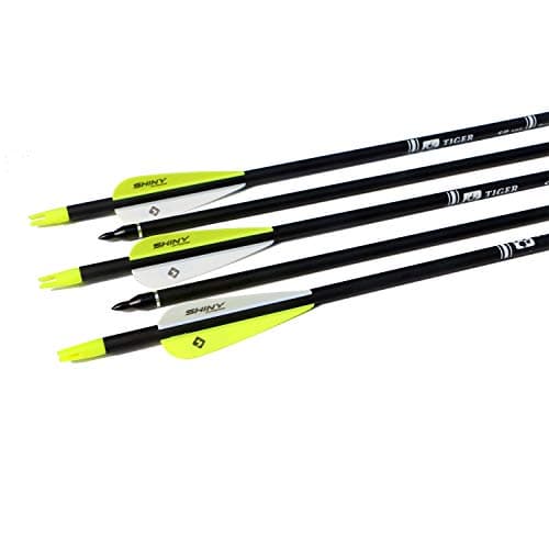 TIGER ARCHERY 30Inch Carbon Arrow Practice Hunting Arrows with Removable Tips for Compound & Recurve Bow(Pack of 12)