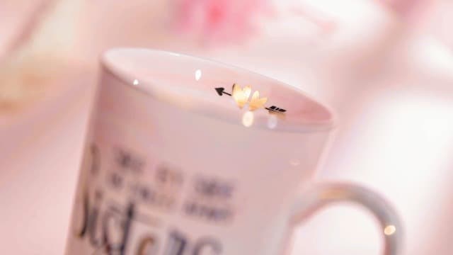 14oz Pink Marble Coffee Mug with Gold Print, Lid, Spoon, Greeting Card and Elegant Gift Box, Present for Big Sister Sister Birthday Gifts for Sister from Brother Sisters, 14oz Sisters Mug B0855VHN6G
