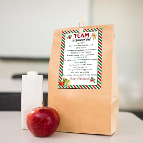 40 Pcs Team Survival Kit Gift Tag, Christmas Staff Appreciation Tags for Gift Bags, Welcome to the Team Gifts for Volunteers Employees - KA06 B0FJ2B58B3