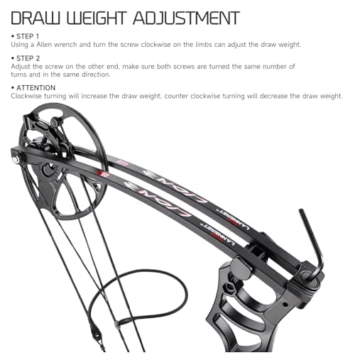 Lanneret Compound Bow and Archery Sets - Right Hand Archery Compound Bows 0-70 lbs Draw Weight Adjustable for Adults and Beginners，25"-31" Draw Length，up to IBO 320 fps，Archery Hunting Bow Set