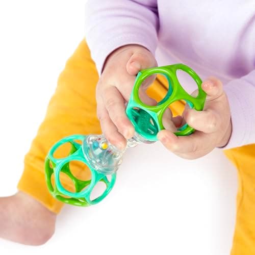 Bright Starts Oball Shaker Rattle Toy, Ages Newborn Plus B008J1QP7Y
