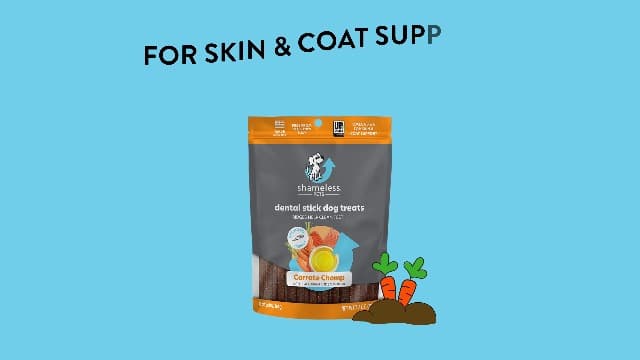 Shameless Pets Dental Treats for Dogs, The Tooth Berry - Healthy Dental Sticks with Immune Support for Teeth Cleaning & Fresh Breath - Free from Grain, Corn & Soy