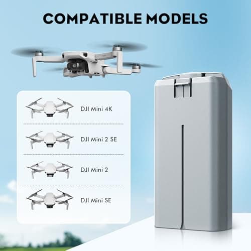 Intelligent Battery 2400mAh(2-Pack) with Bi-Directional Fast Charger for DJI Mini 4K/Mini2/Mini 2 SE/Mini SE - High Capacity Li-ion Batteries with Overheat Protection,31 Mins Flight Time