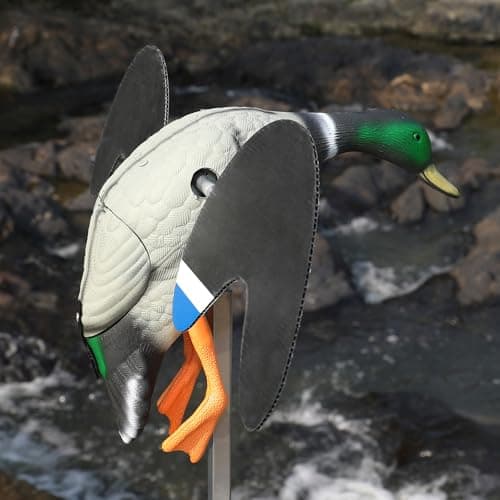Realistic Mallard Duck Models That Hunting Enthusiasts Love as decoys and Ornaments