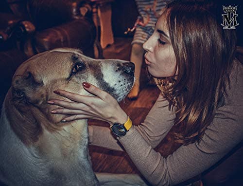 SHENGKE Creative Watch Ultra-Thin Strap Casual Fashion Quartz Minimalist Watch