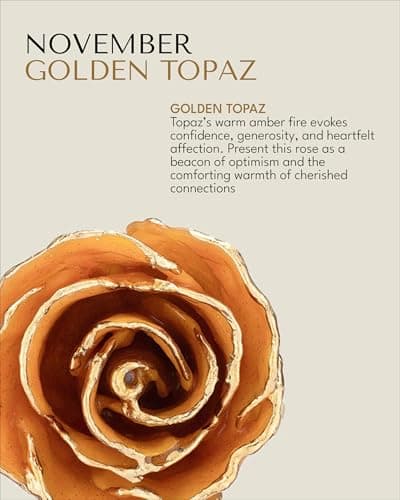 Real Rose with Sparkles in Leather Case with LED Light, Perfect Ready to Gift for Birthday or Any Occasion Forever Rose Hand-Dipped in 24K Gold, Golden Topaz November Birthstone B0CJHZLJVG