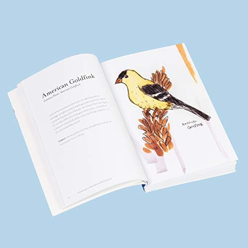The Field Guide to Dumb Birds of North America (Bird Books, Books for Bird Lovers, Humor Books) 1452174032