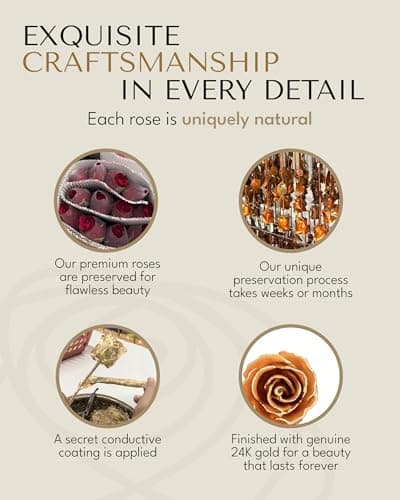 Real Rose with Sparkles in Leather Case with LED Light, Perfect Ready to Gift for Birthday or Any Occasion Forever Rose Hand-Dipped in 24K Gold, Golden Topaz November Birthstone B0CJHZLJVG