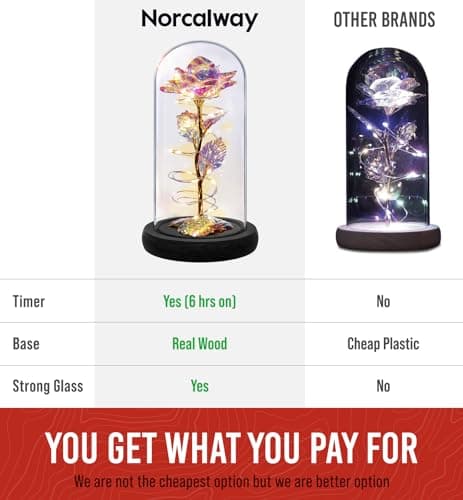 Norcalway Galaxy Rose Flower Gift for Mom from Son, Daughter - LED Light Glass Flower with Timer for Woman, Girlfriend, Wife