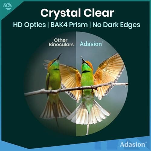 12x42 HD Binoculars for Adults High Powered with Phone Adapter and Tripod, Super Bright BAK4 Prism Waterproof Binoculars for Bird Watching Hunting Hiking Safari Travel Sports