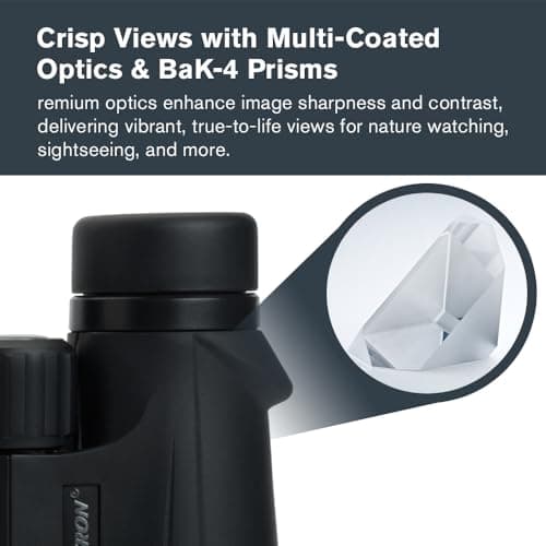 Celestron - Outland X 10x50 Binoculars – Ideal for Birding and Outdoors – 50mm Objective Lenses – 5.6° Field of View – BaK-4 Prisms – Multi-Coated – Waterproof and Fogproof
