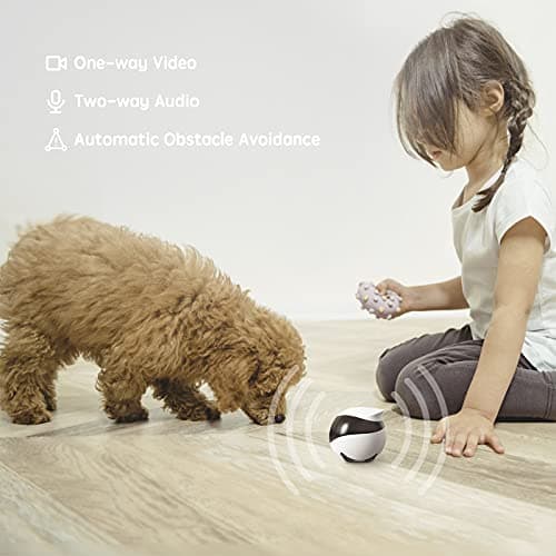Whole-Home Mobility, Two-Way Talk, Night Vision, Local Storage, Auto-Recharge, Long Distance Gift for Family/Pet Enabot EBO SE Home Robot Camera: 1080P Mobile FamilyBot Pet Companion B09R6V3CJM