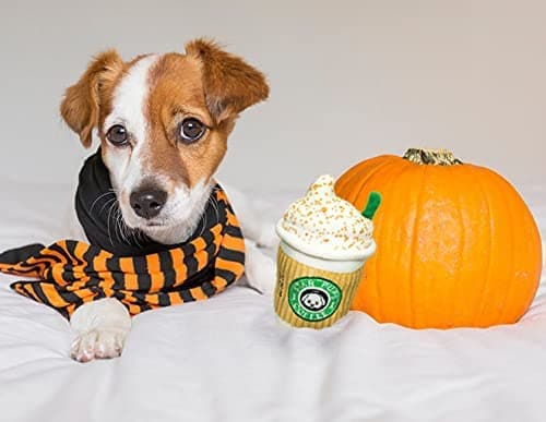 Parody Star Pups Coffee Dog Toy Pup'kin Spice Latte - Funny Plush Squeaky Crinkle Dog Toys for Medium, Small and Large for Dog Birthday