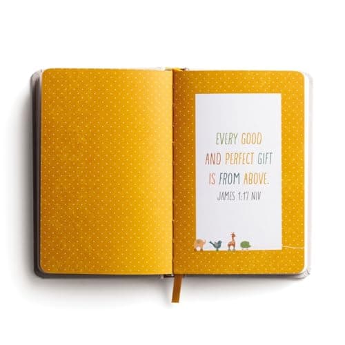 Oh, Baby! Devotions for New Parents: A 78-Day Devotional for New and Expecting Moms and Dads to Grow in Faith – The Perfect Christian Baby Shower Gift for New and Expectant Parents 1644549875