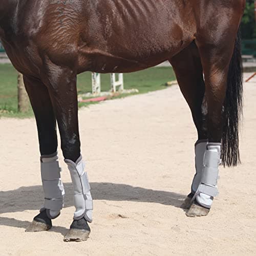 Gallopoff Fly Boots for Horses Set of 4, Breathable Comfy Mesh Horse Leggings Reduce Stomping, Hoof Stress, and Leg Fatigue Grey Full